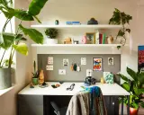 Escritorio de una habitación de estudiante con plantas, libros y arte en la pared. Un espacio acogedor y organizado para el estudio.