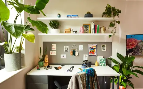 Escritorio de una habitación de estudiante con plantas, libros y arte en la pared. Un espacio acogedor y organizado para el estudio.