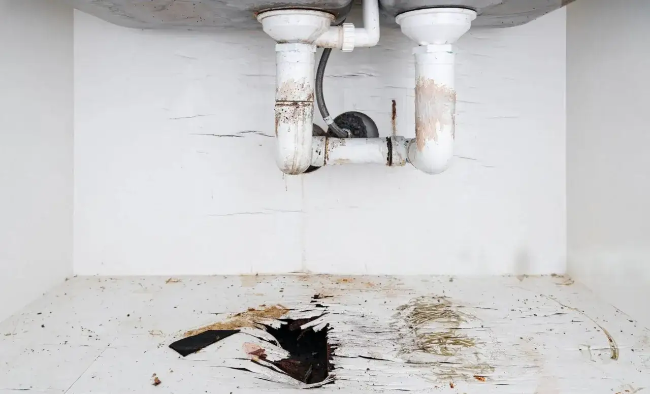 Debajo del fregadero, las tuberías gotean agua, causando un agujero en la madera del mueble.