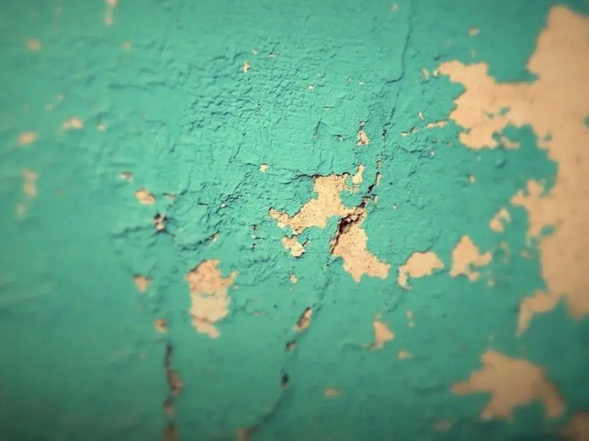 Pintura descascarada en pared de alquiler. ¿Quién paga la pintura en un piso de alquiler? La pared muestra el desgaste.