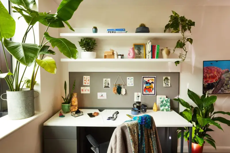 Escritorio de una habitación de estudiante con plantas, libros y arte en la pared. Un espacio acogedor y organizado para el estudio.